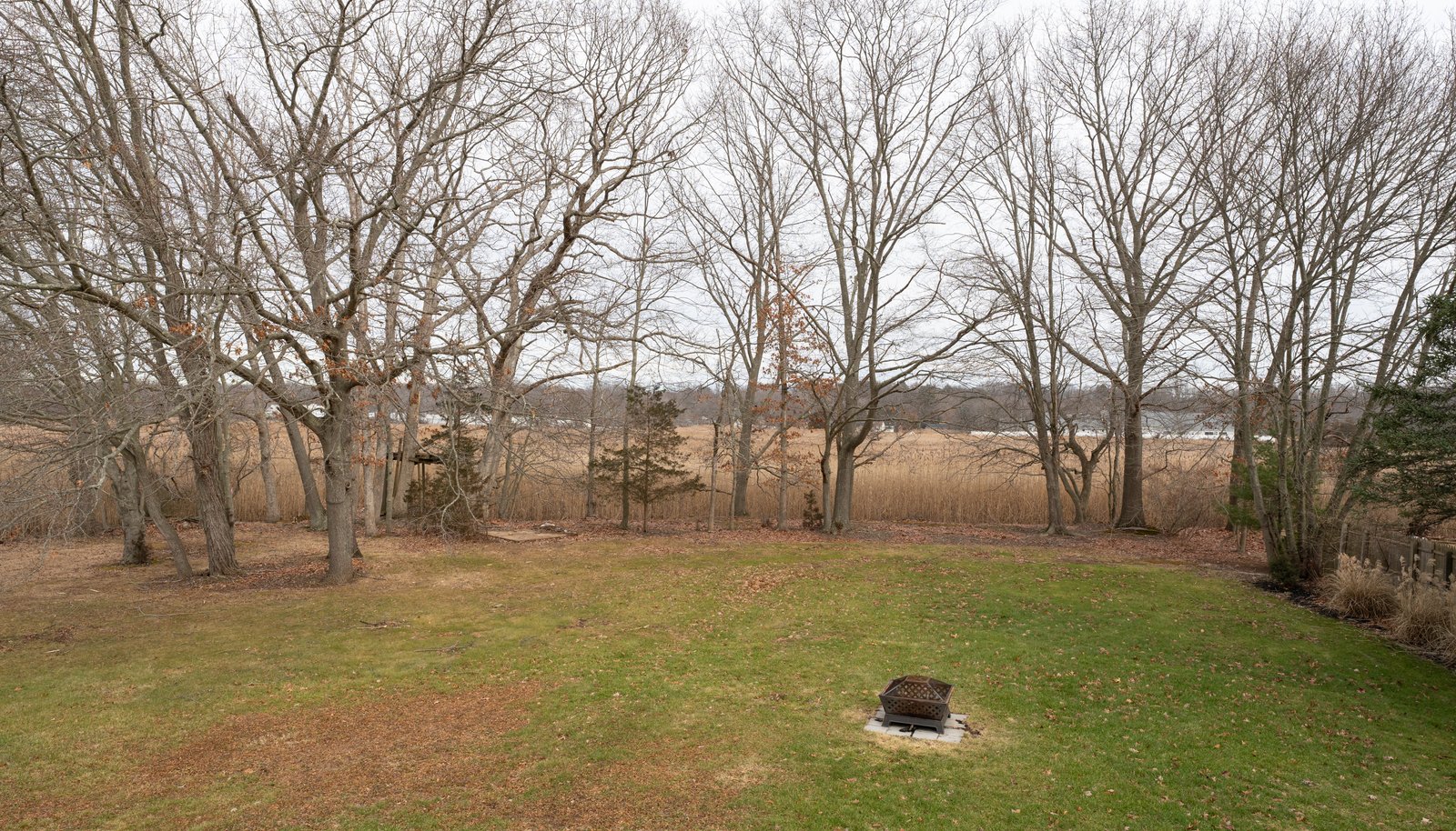 Image 36