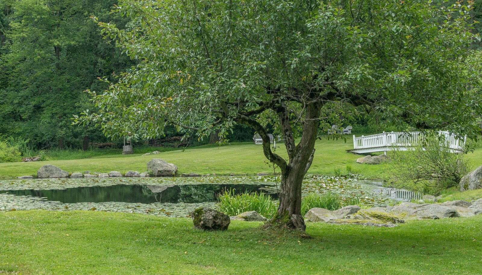 Image 29