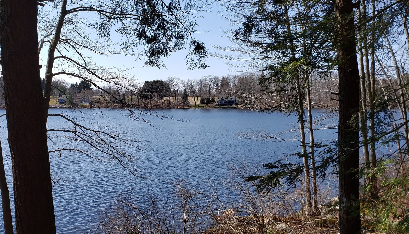 Image 13