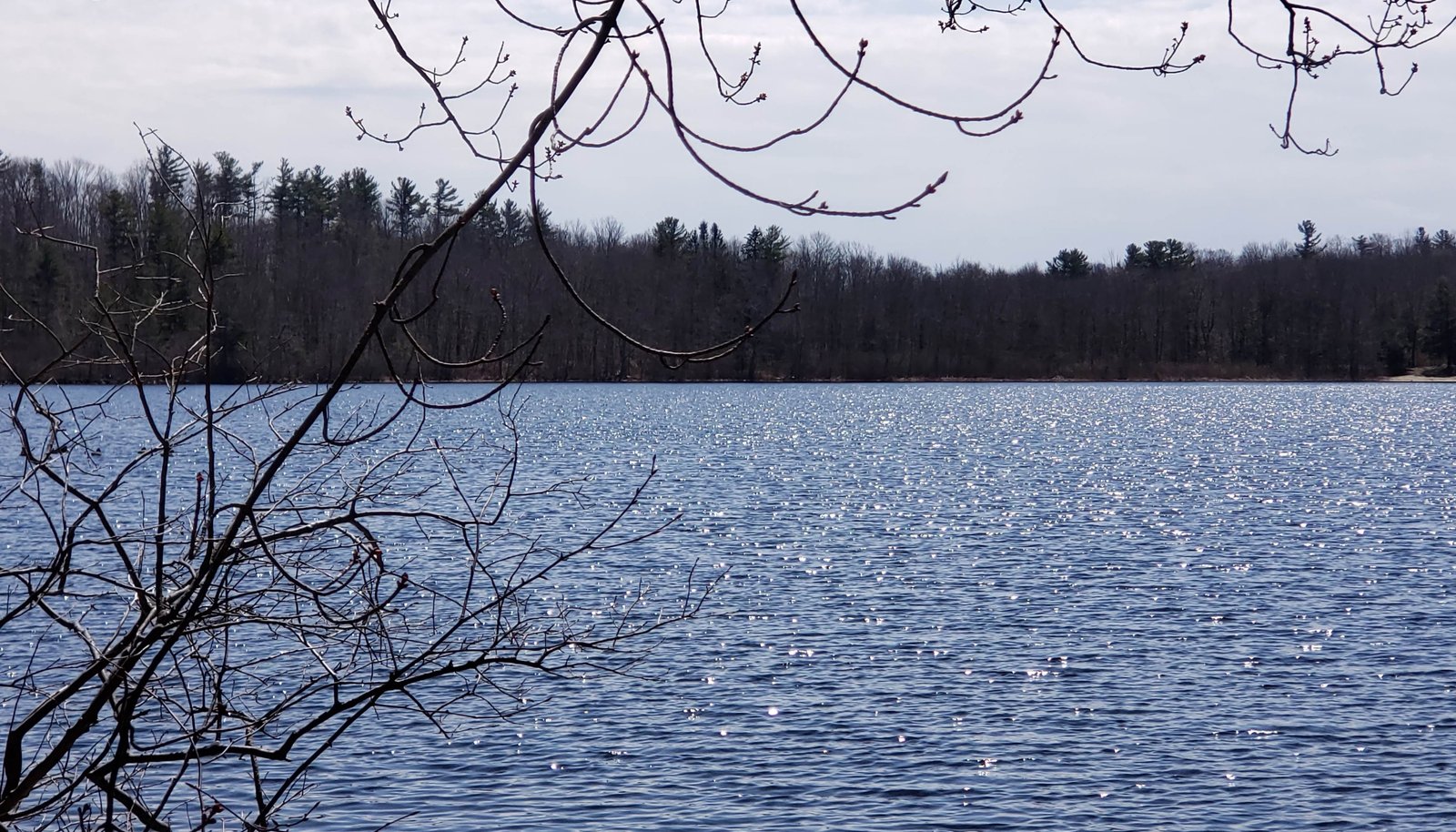 Image 14