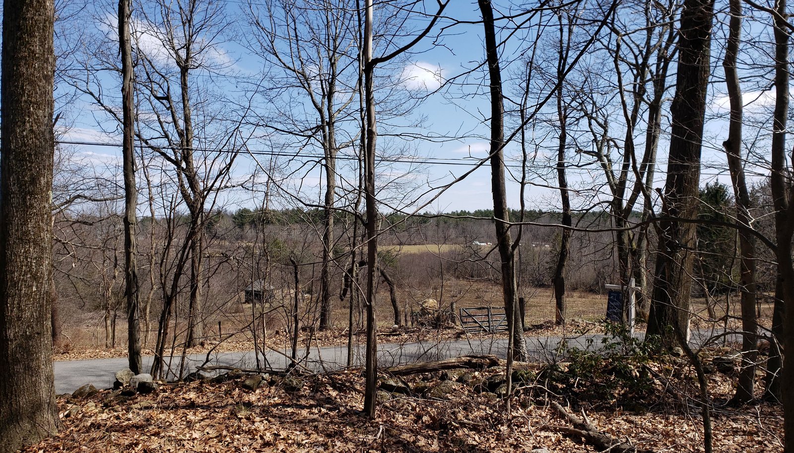Image 15