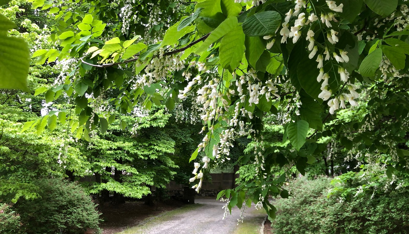 Image 32