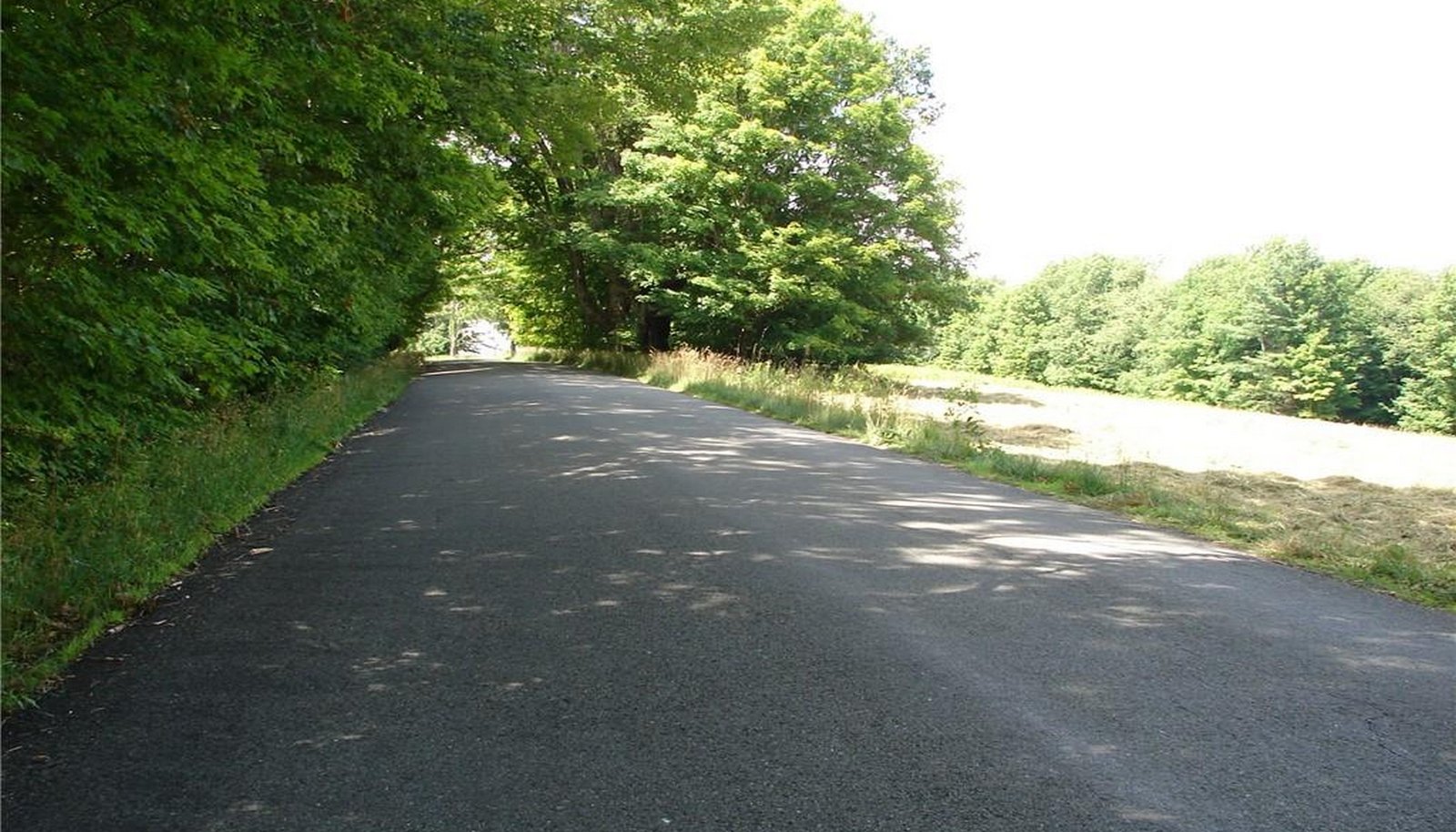 Image 14