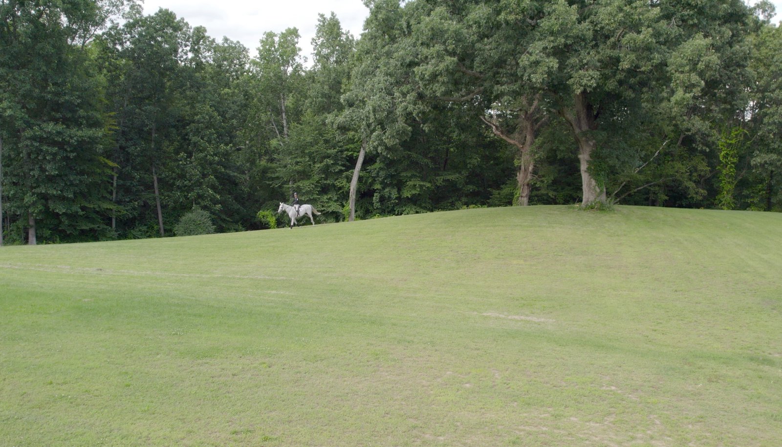 Image 27