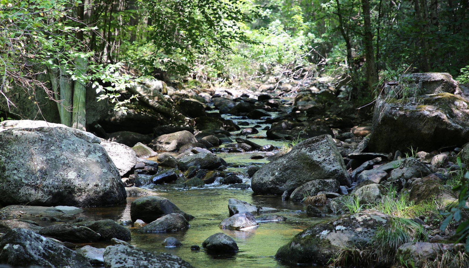 Image 23