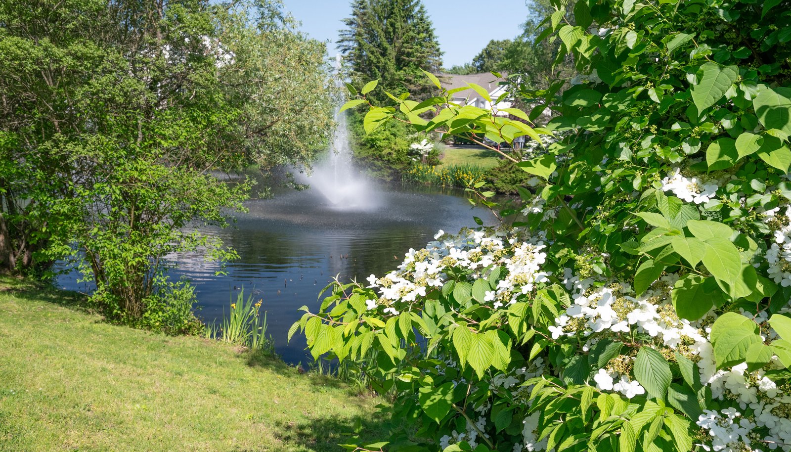 Image 33
