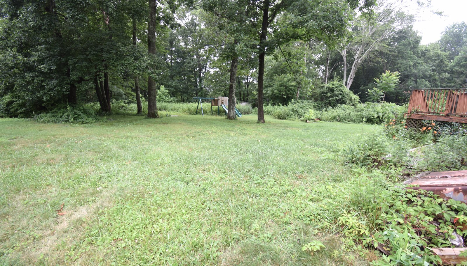 Image 19