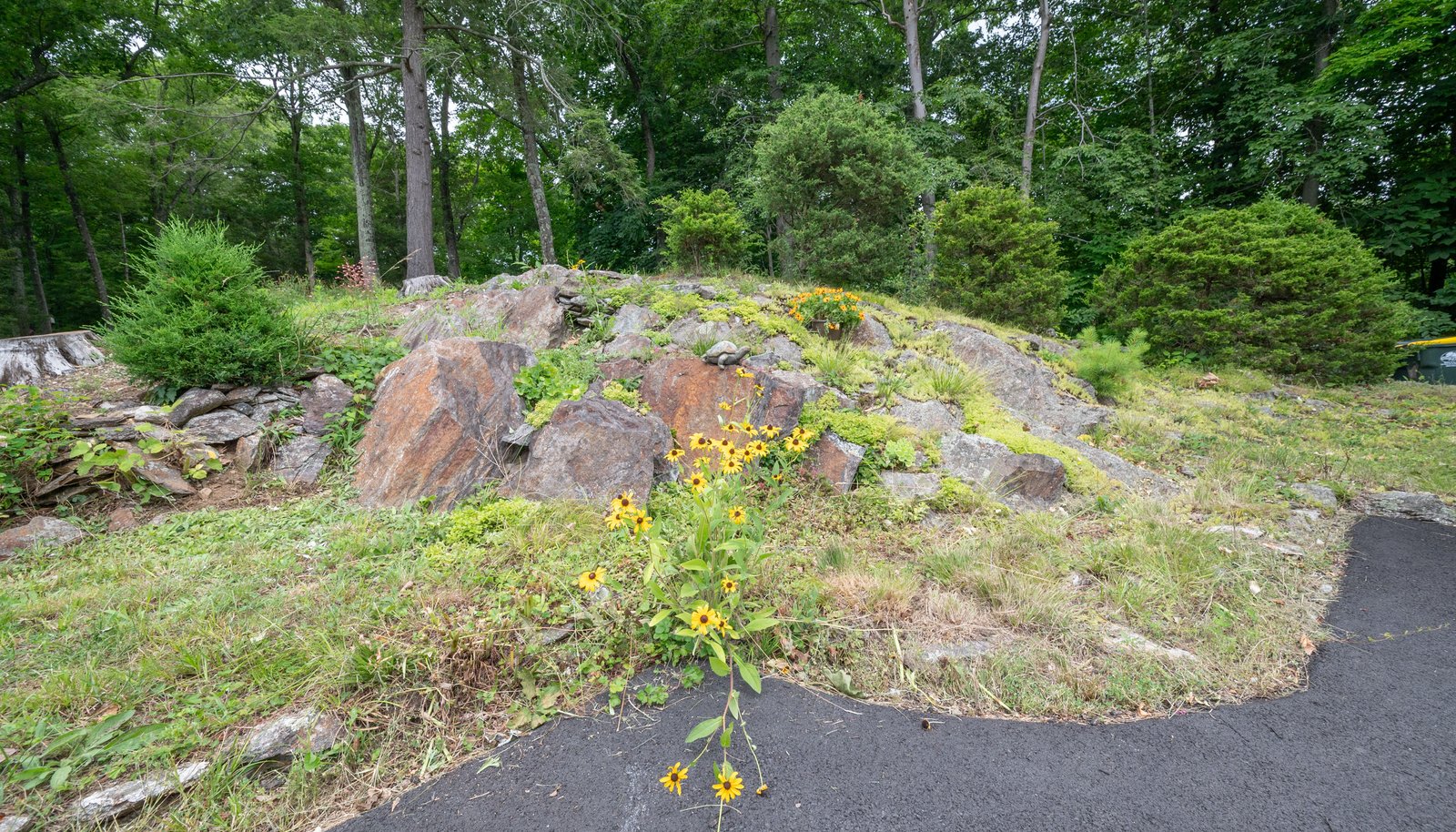 Image 35