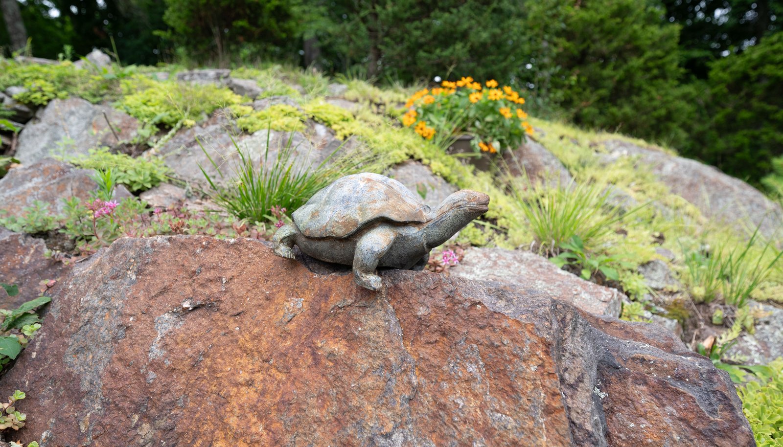 Image 36