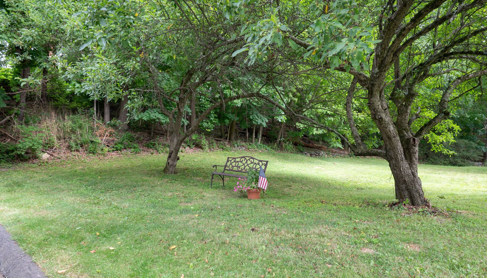 Image 39