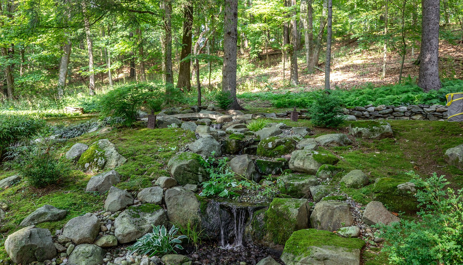 Image 31