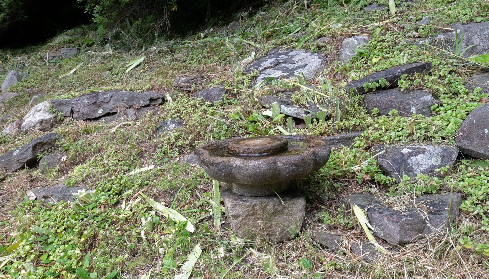 Image 28