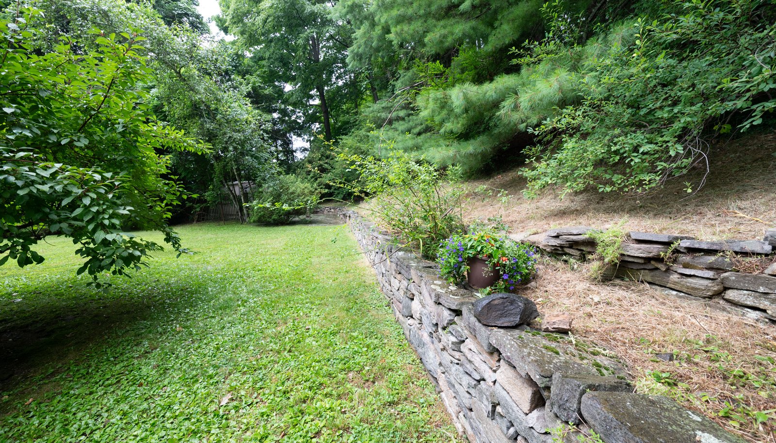 Image 32