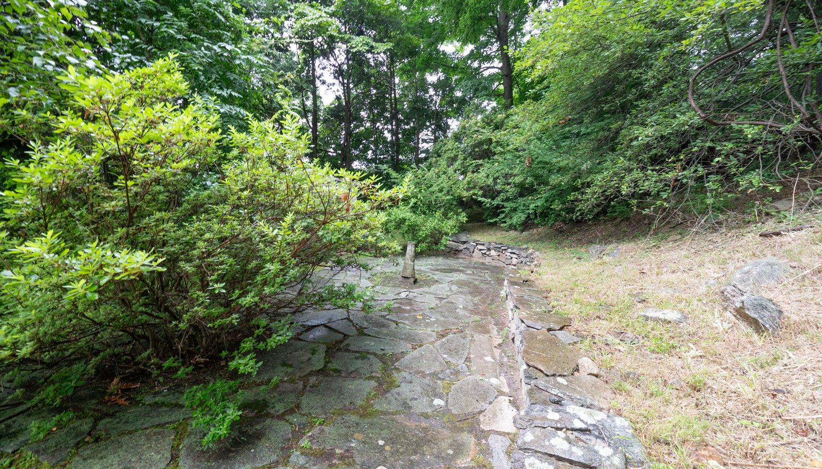 Image 33