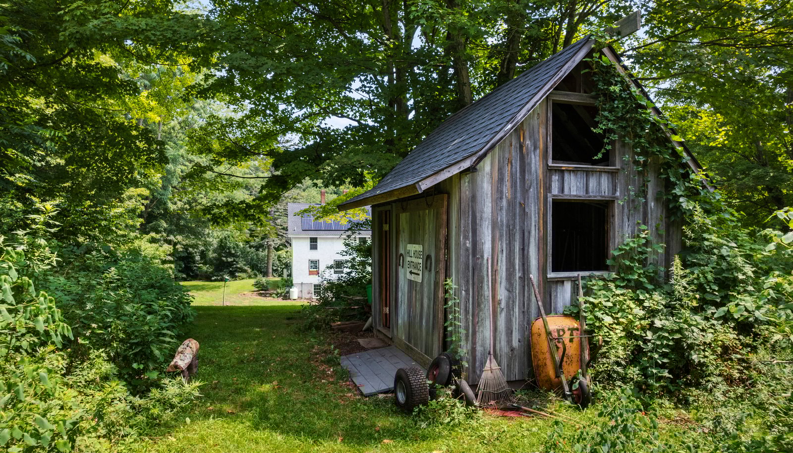 Image 7
