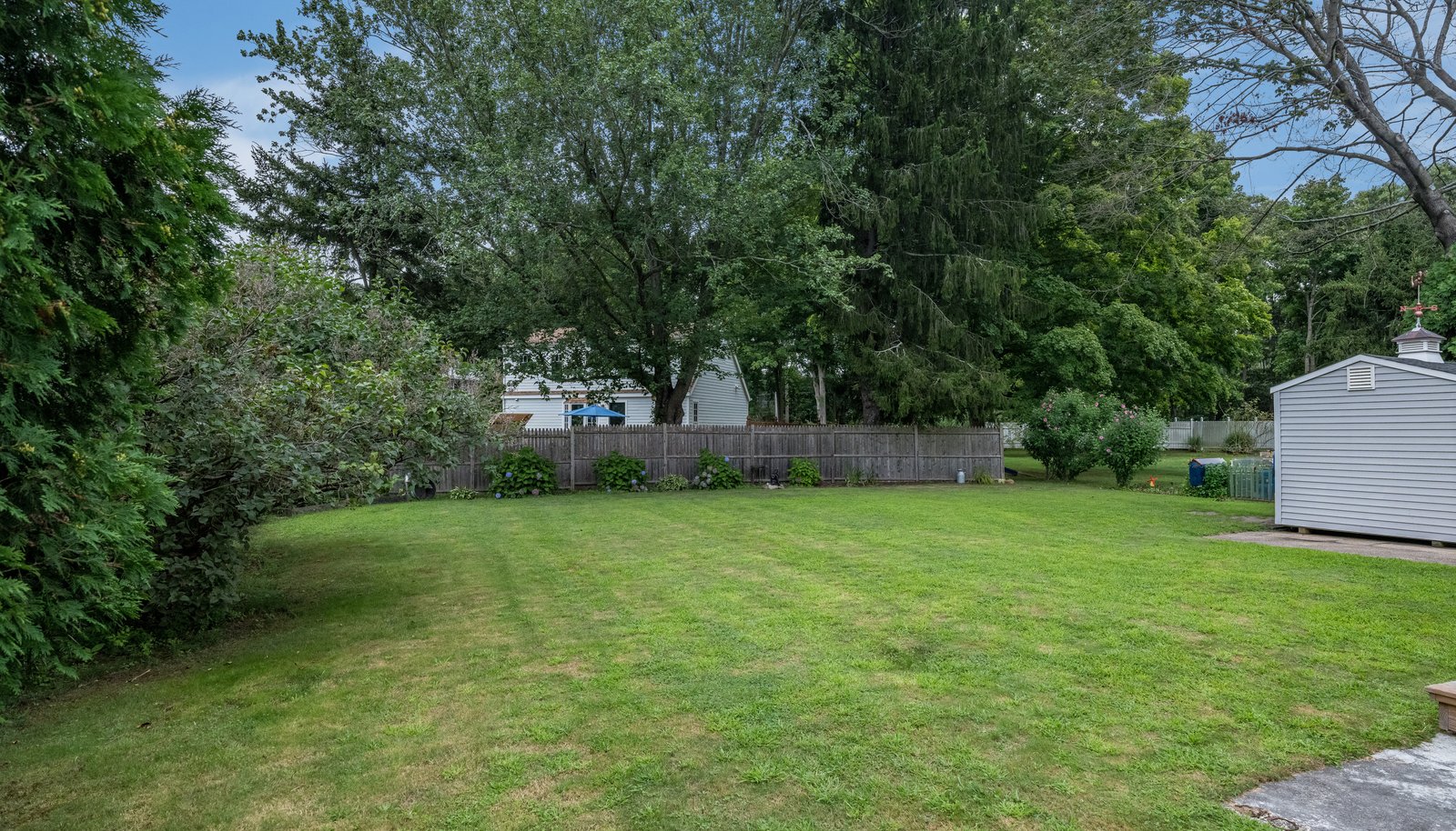 Image 22