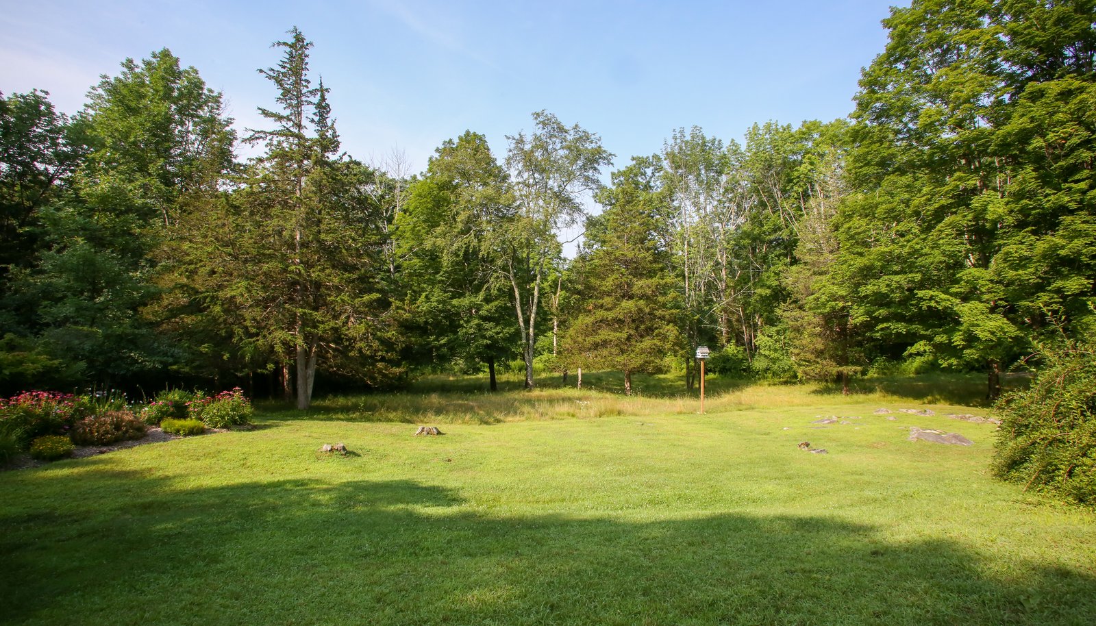 Image 25