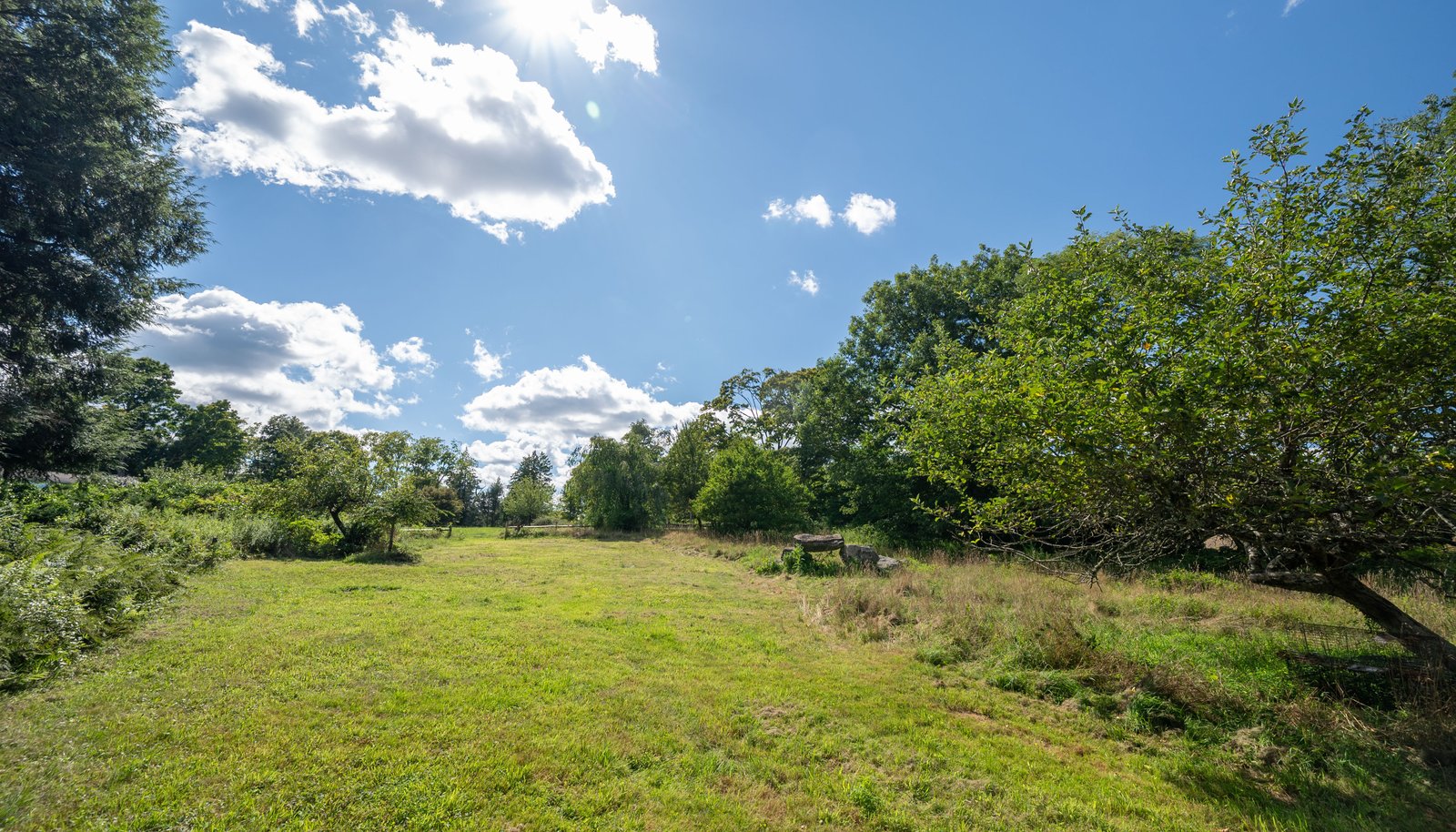 Image 32