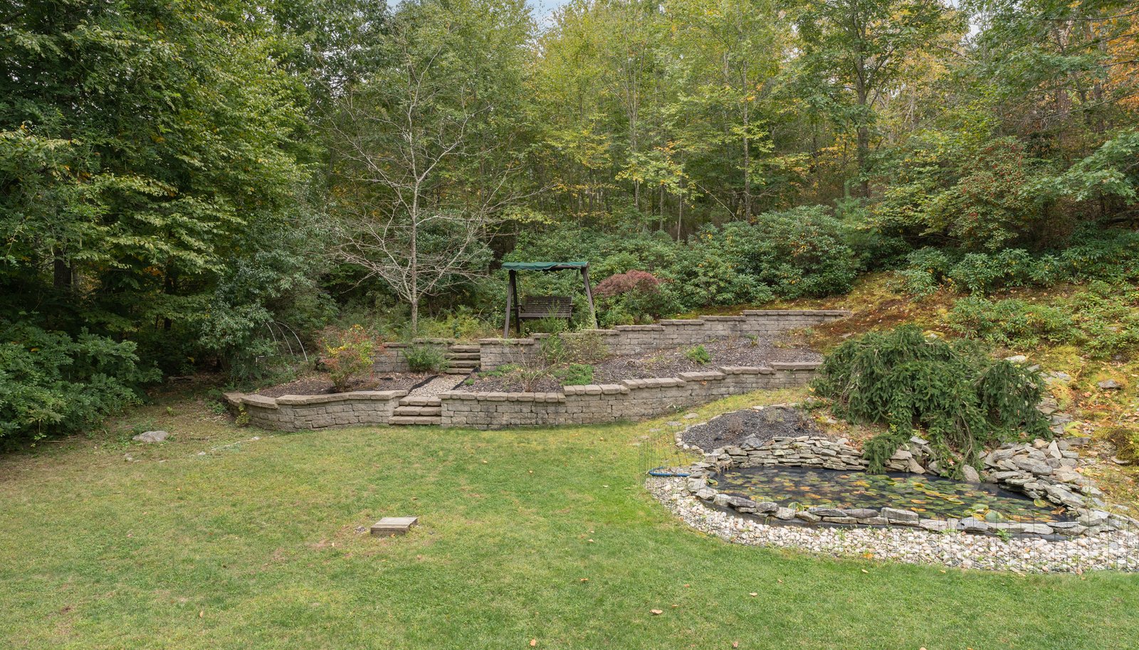 Image 8