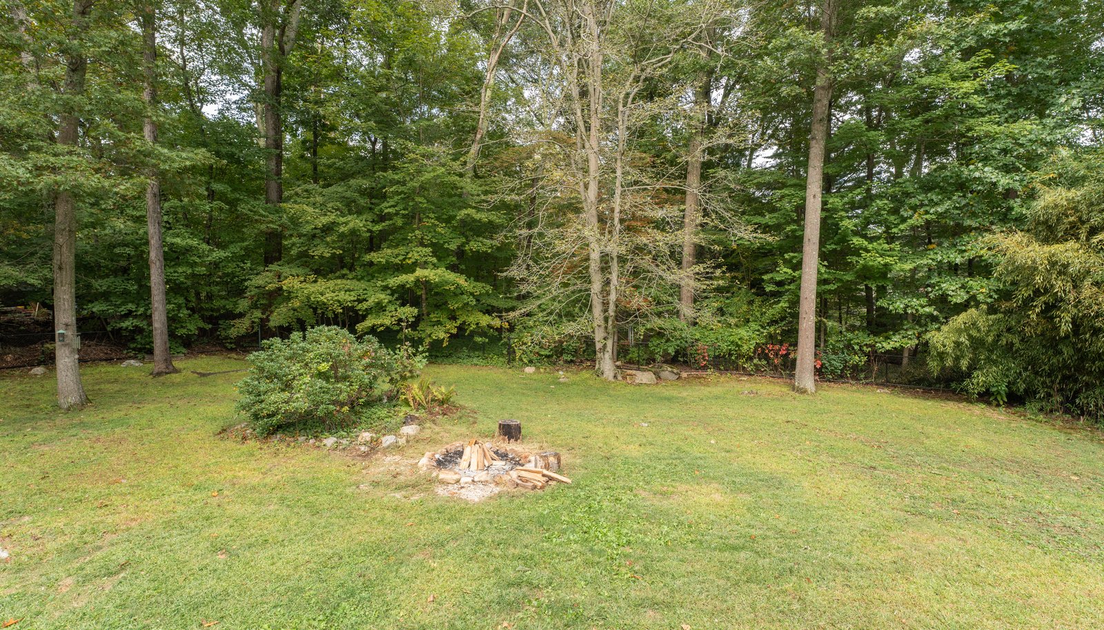 Image 37