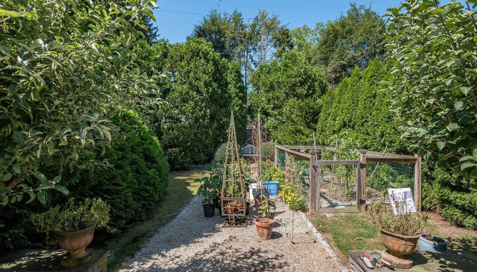 Image 13