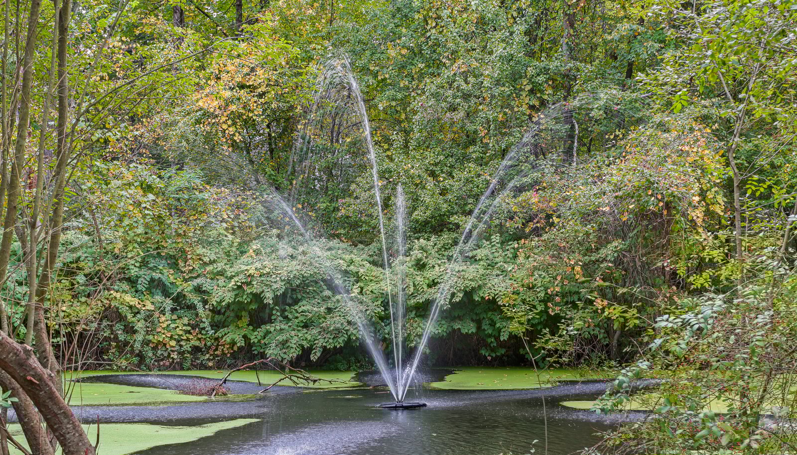 Image 34