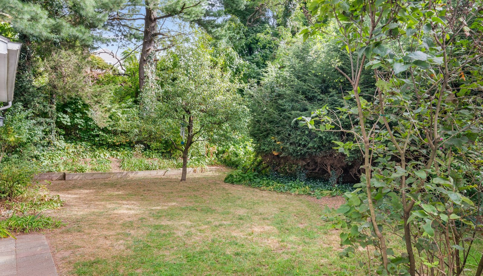 Image 30