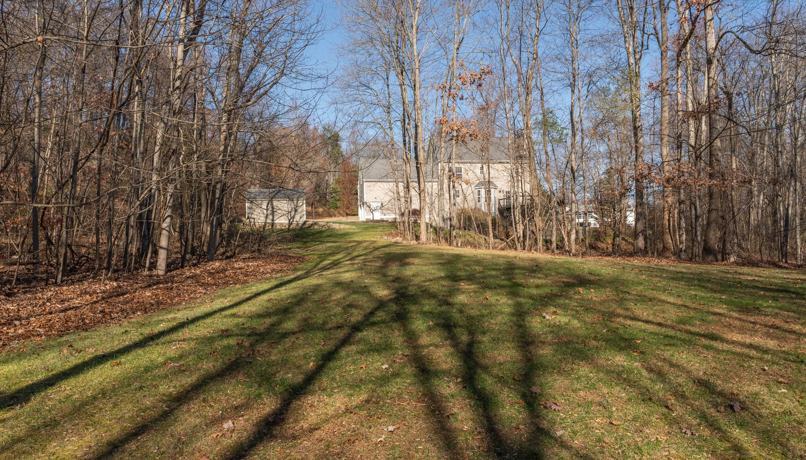 Image 11