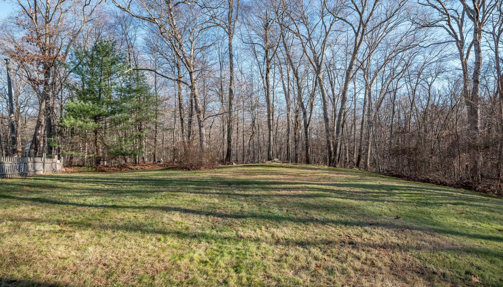 Image 25