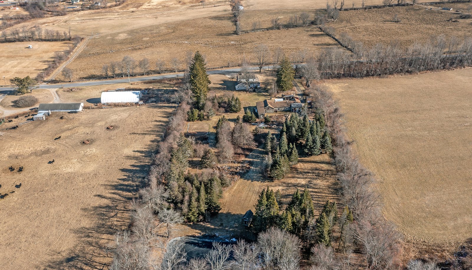 Image 36