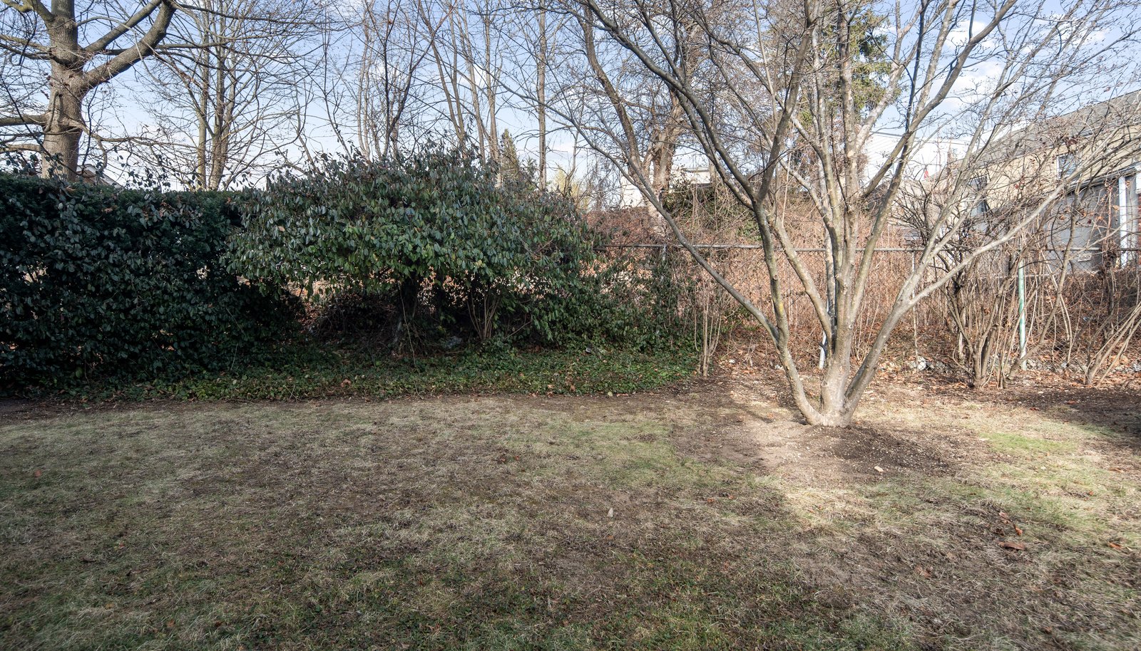 Image 25