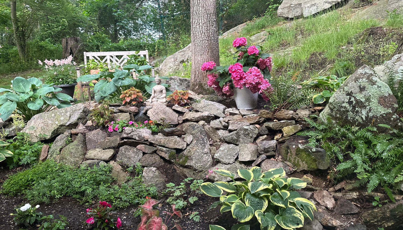 Image 12
