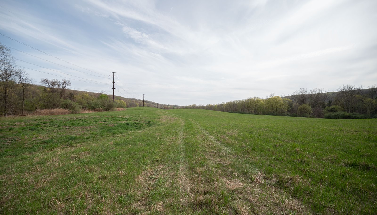 Image 14
