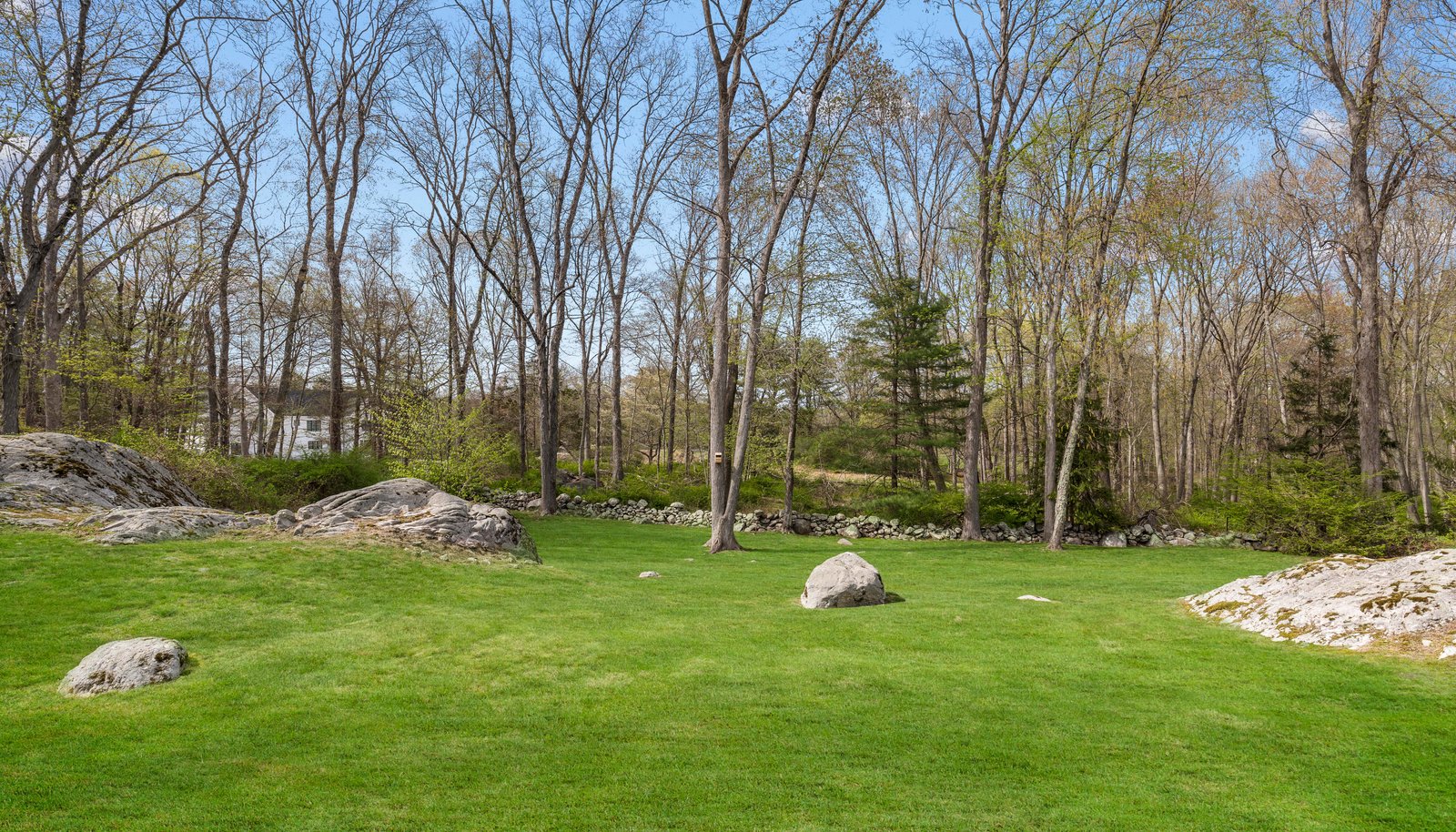 Image 37