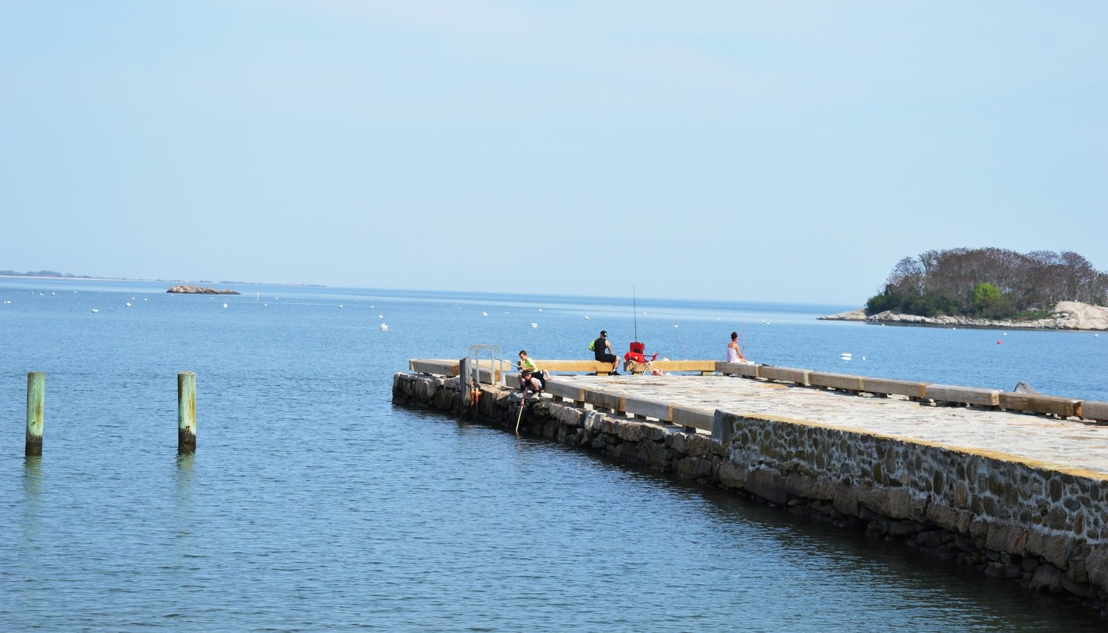 Image 19