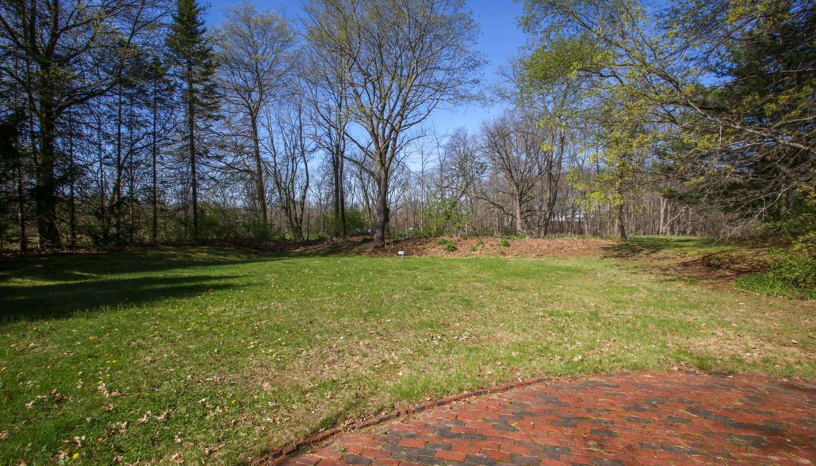 Image 39