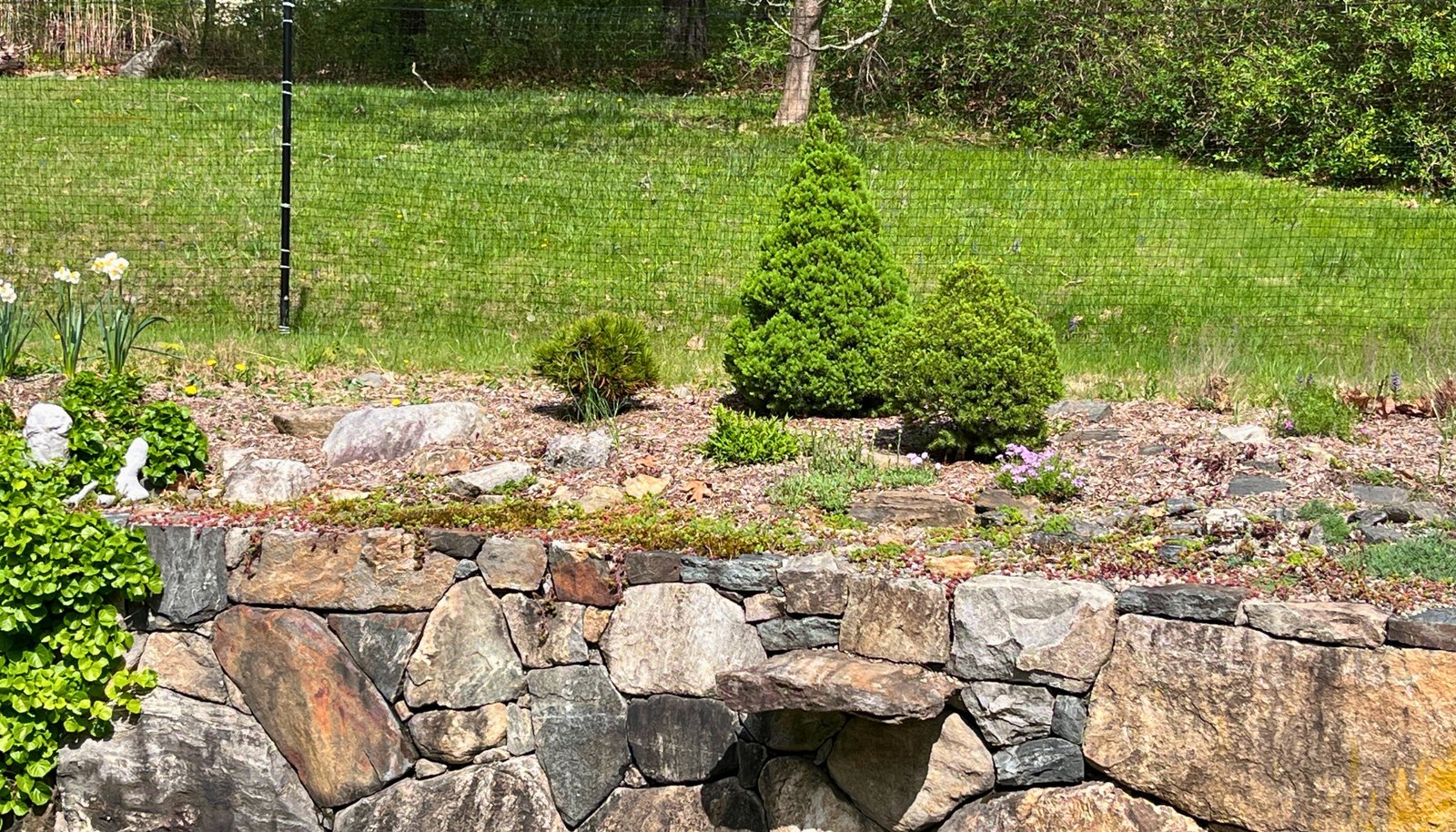 Image 19