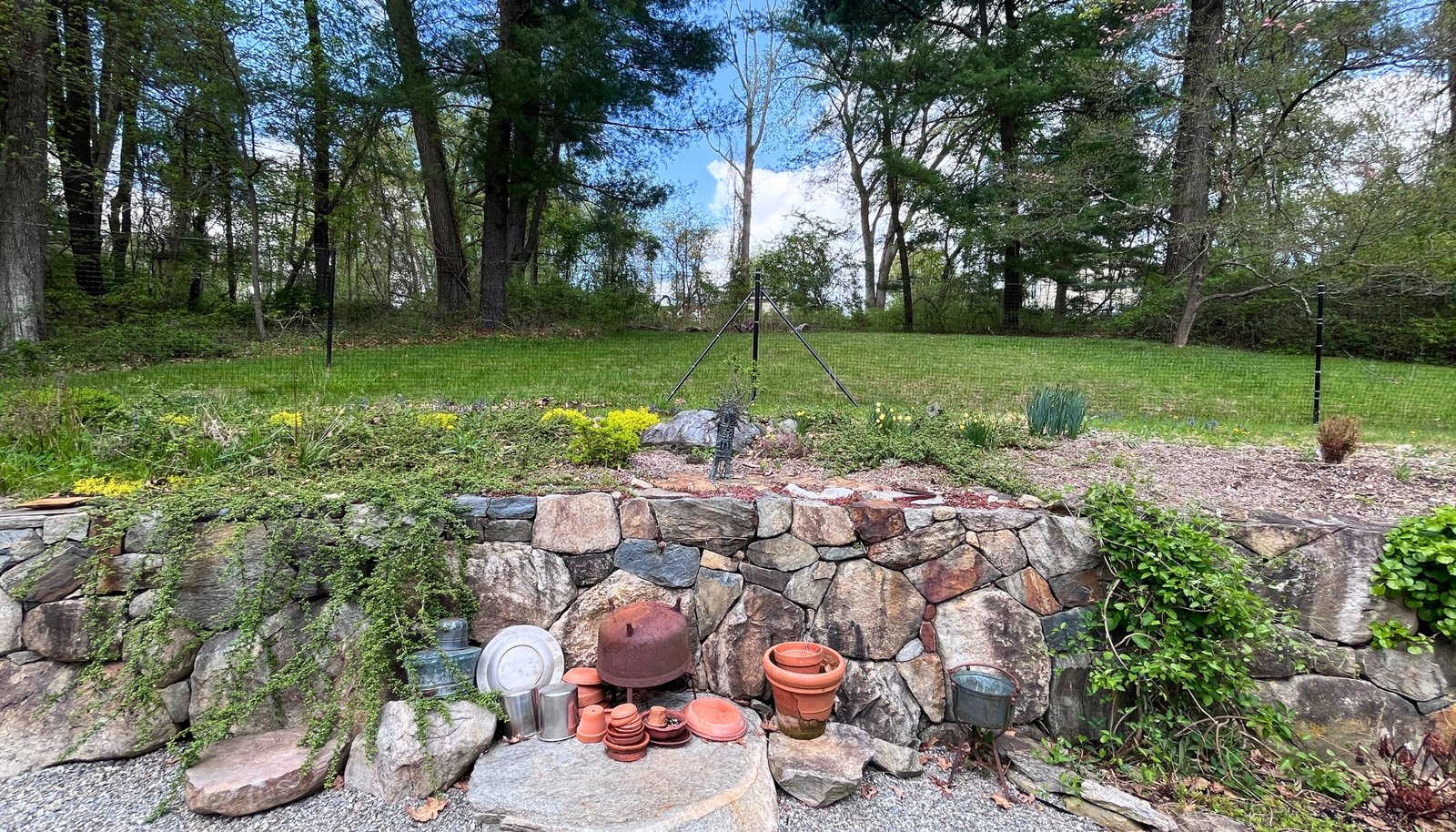 Image 20