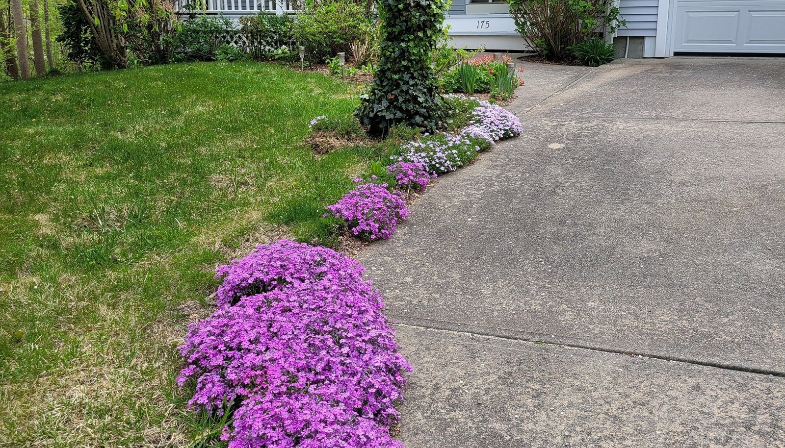 Image 20