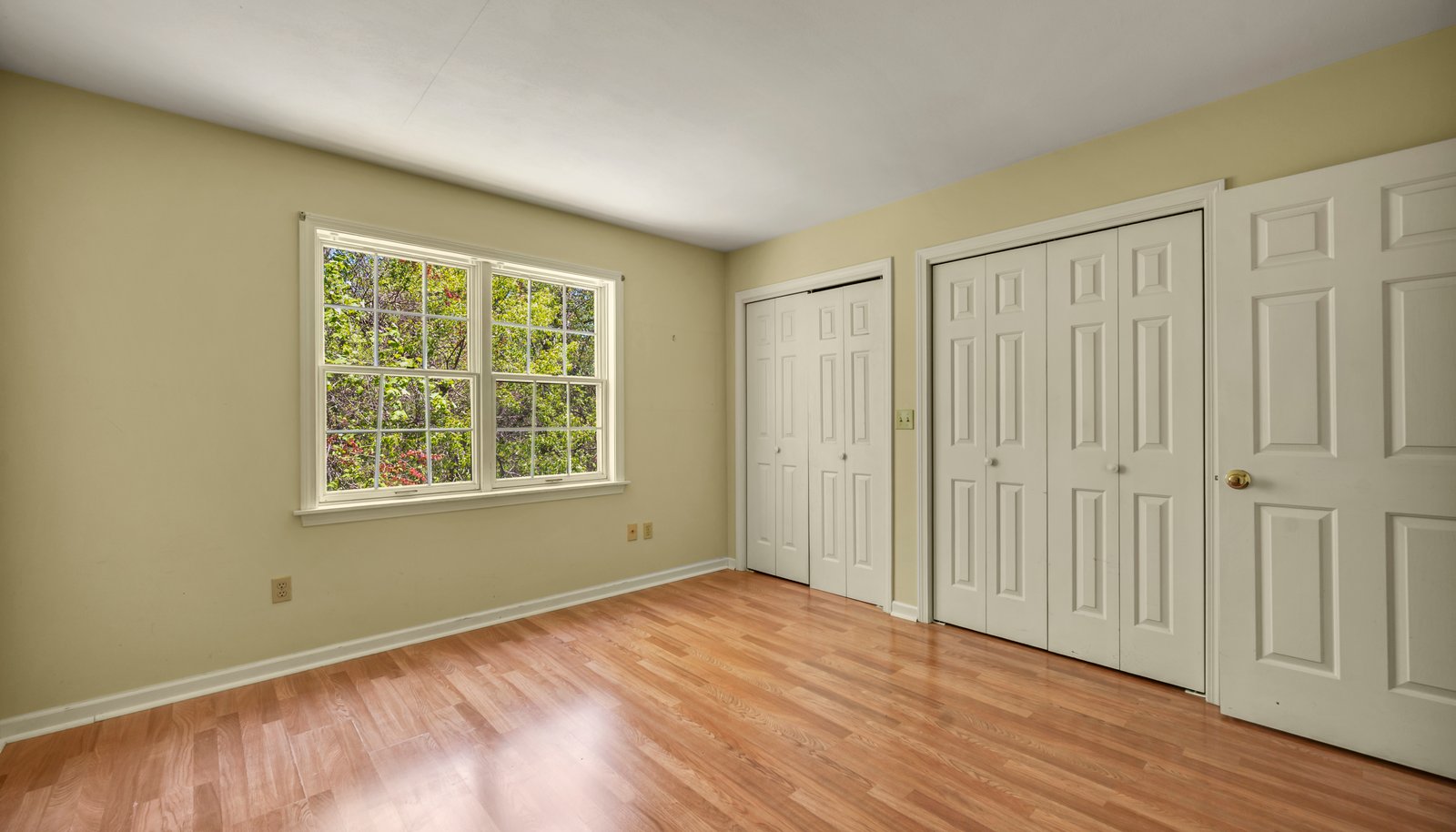 Image 11