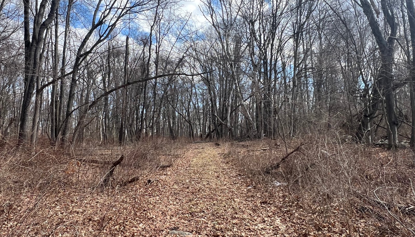 Image 13