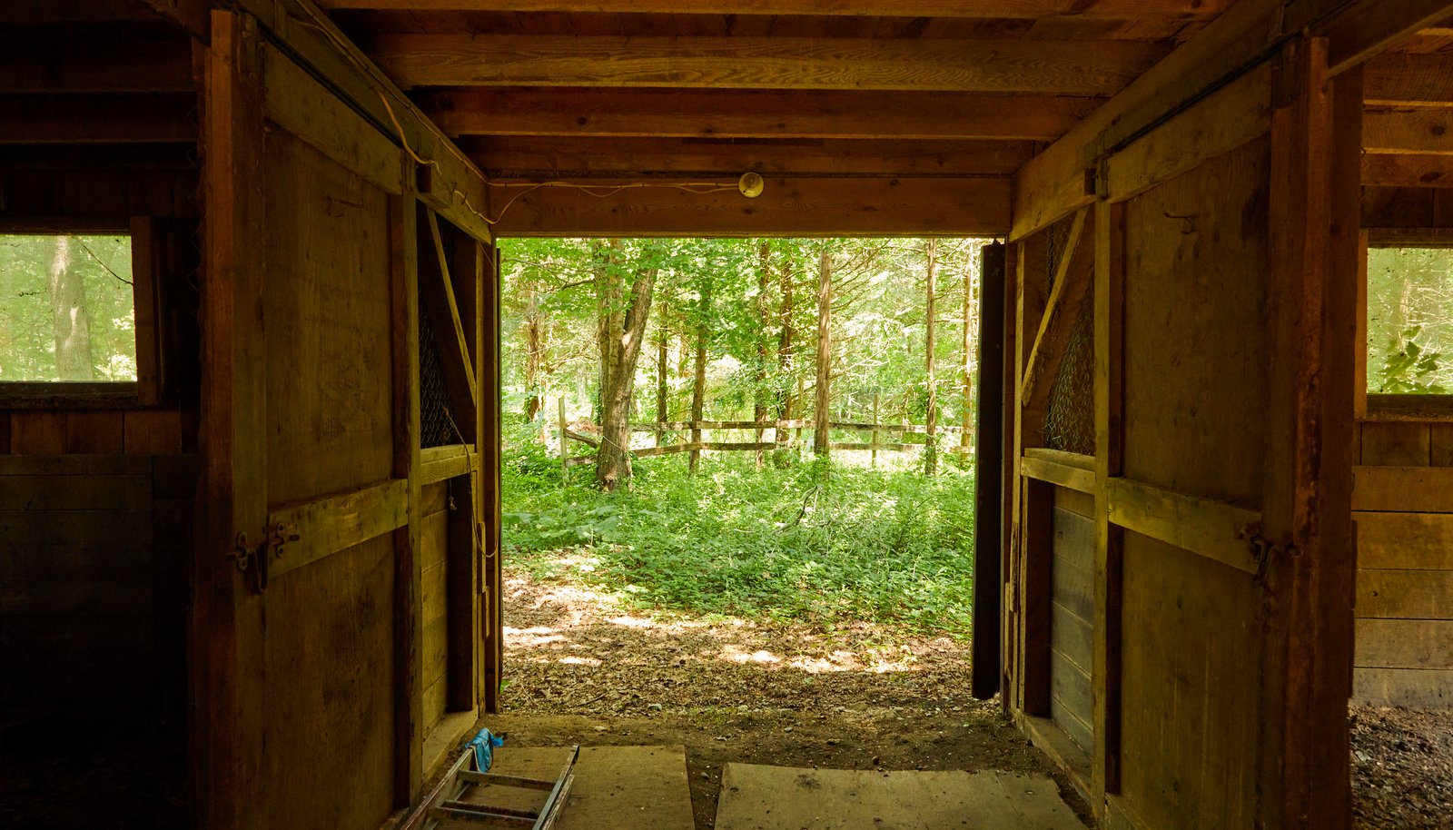 Image 37