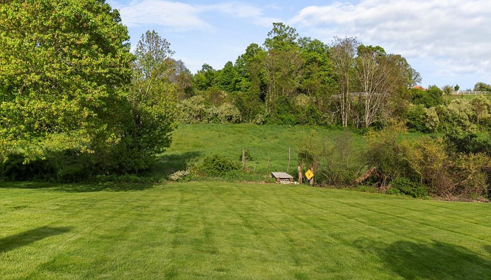 Image 33