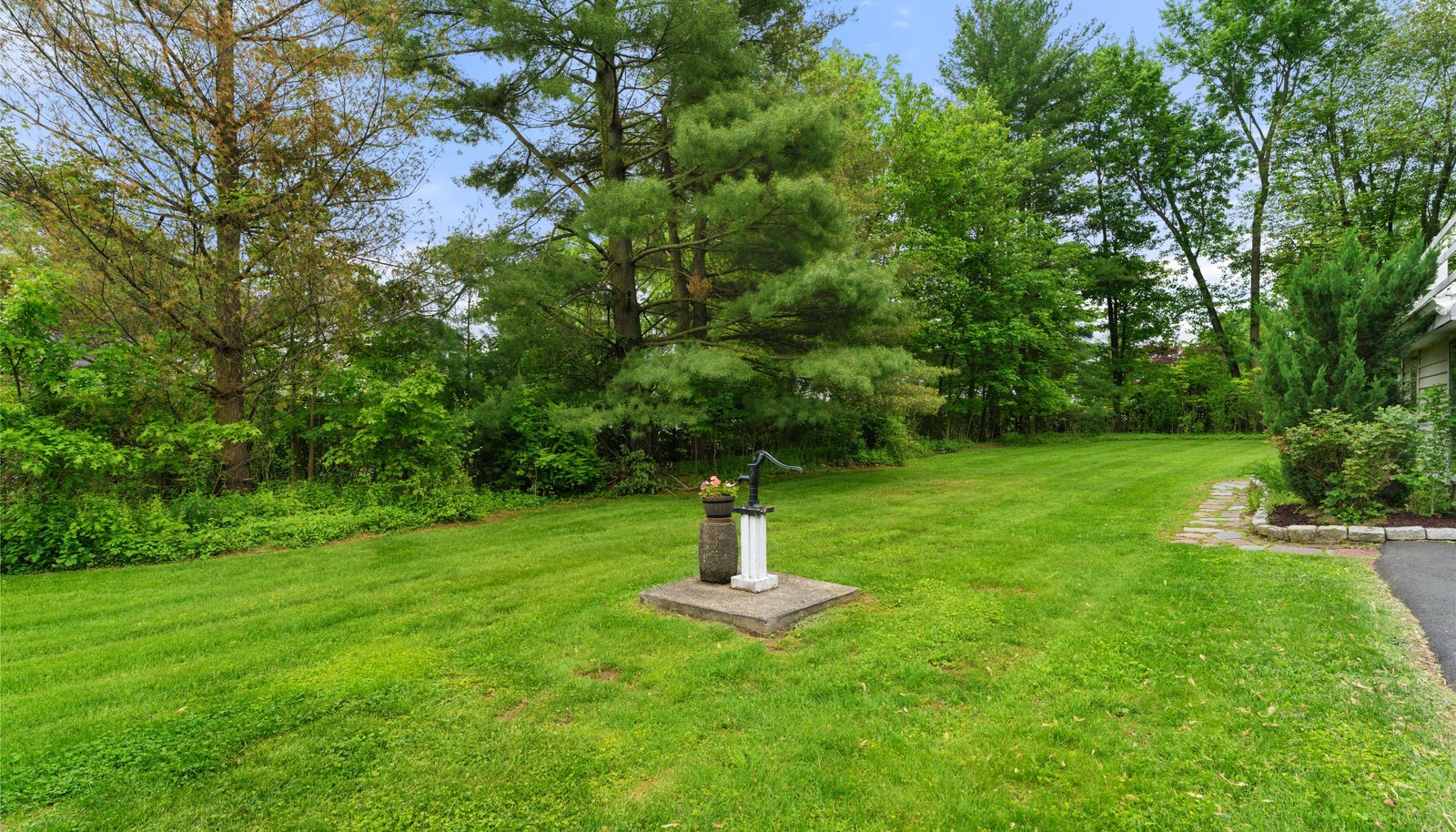 Image 22