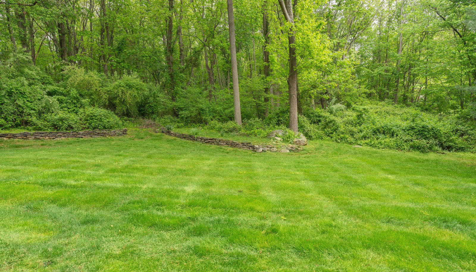 Image 28
