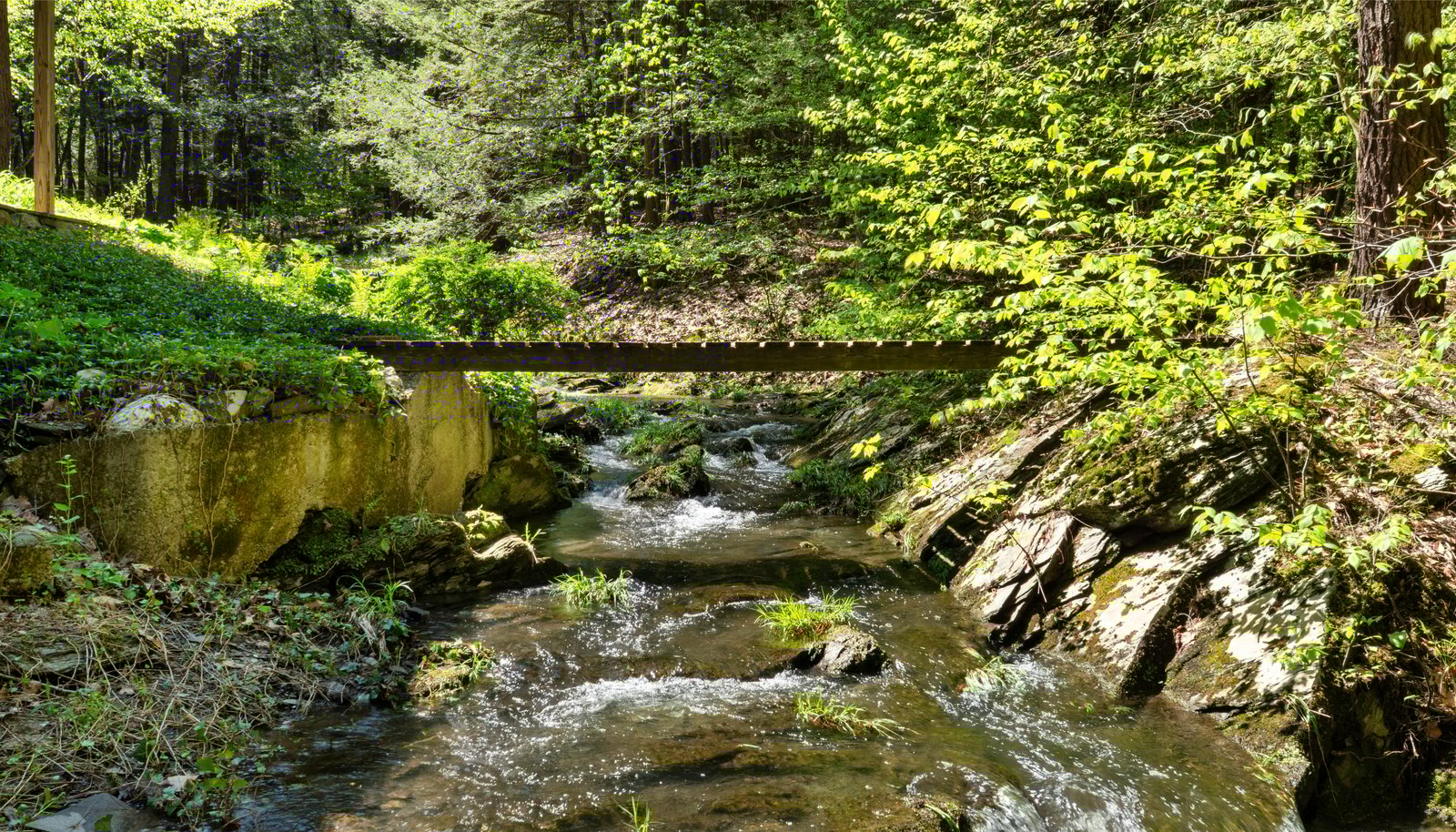 Image 38