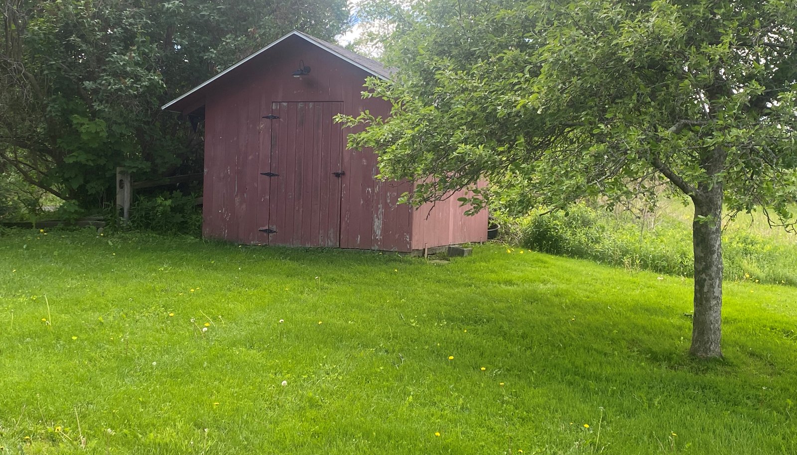 Image 19
