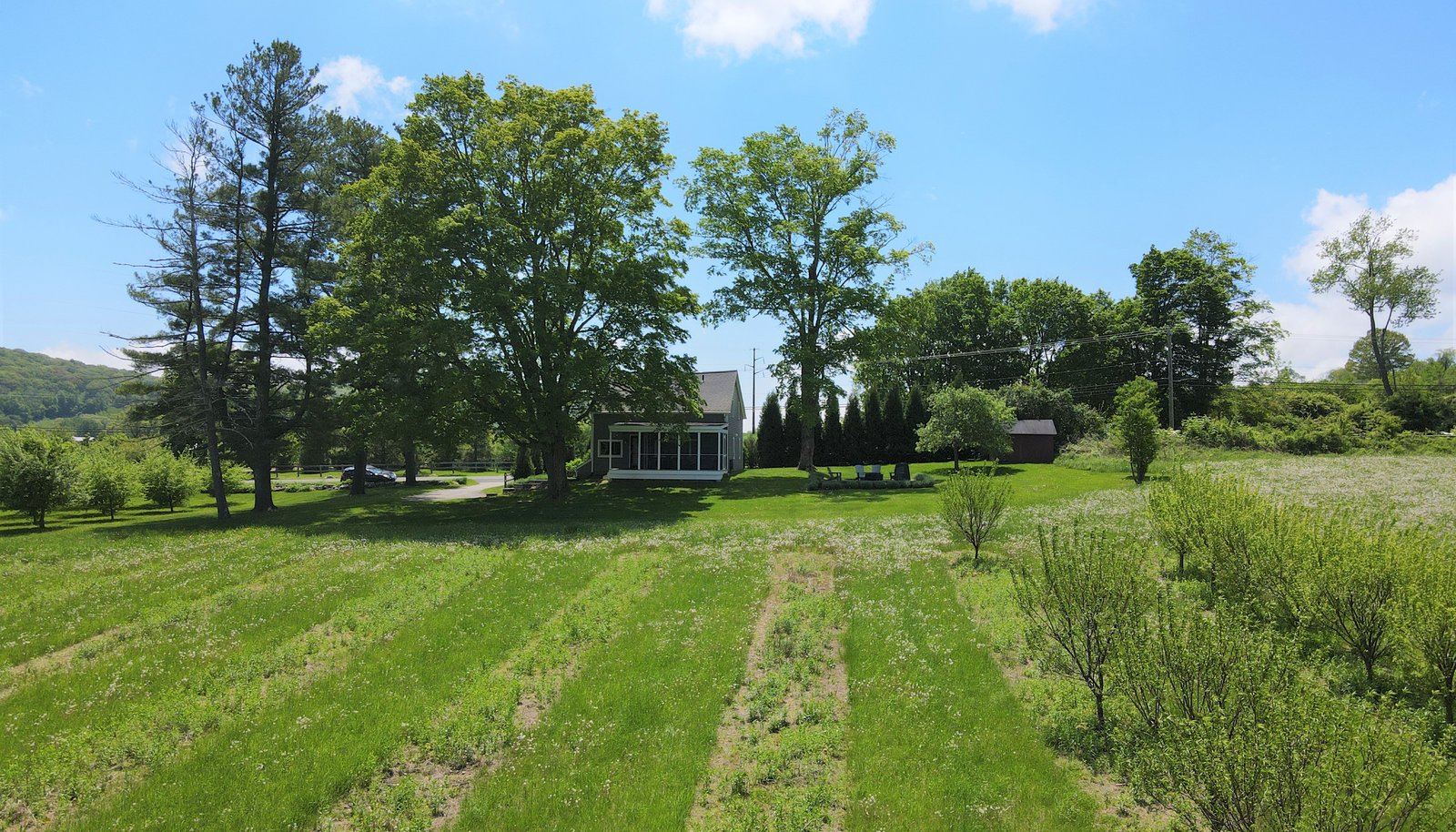 Image 18