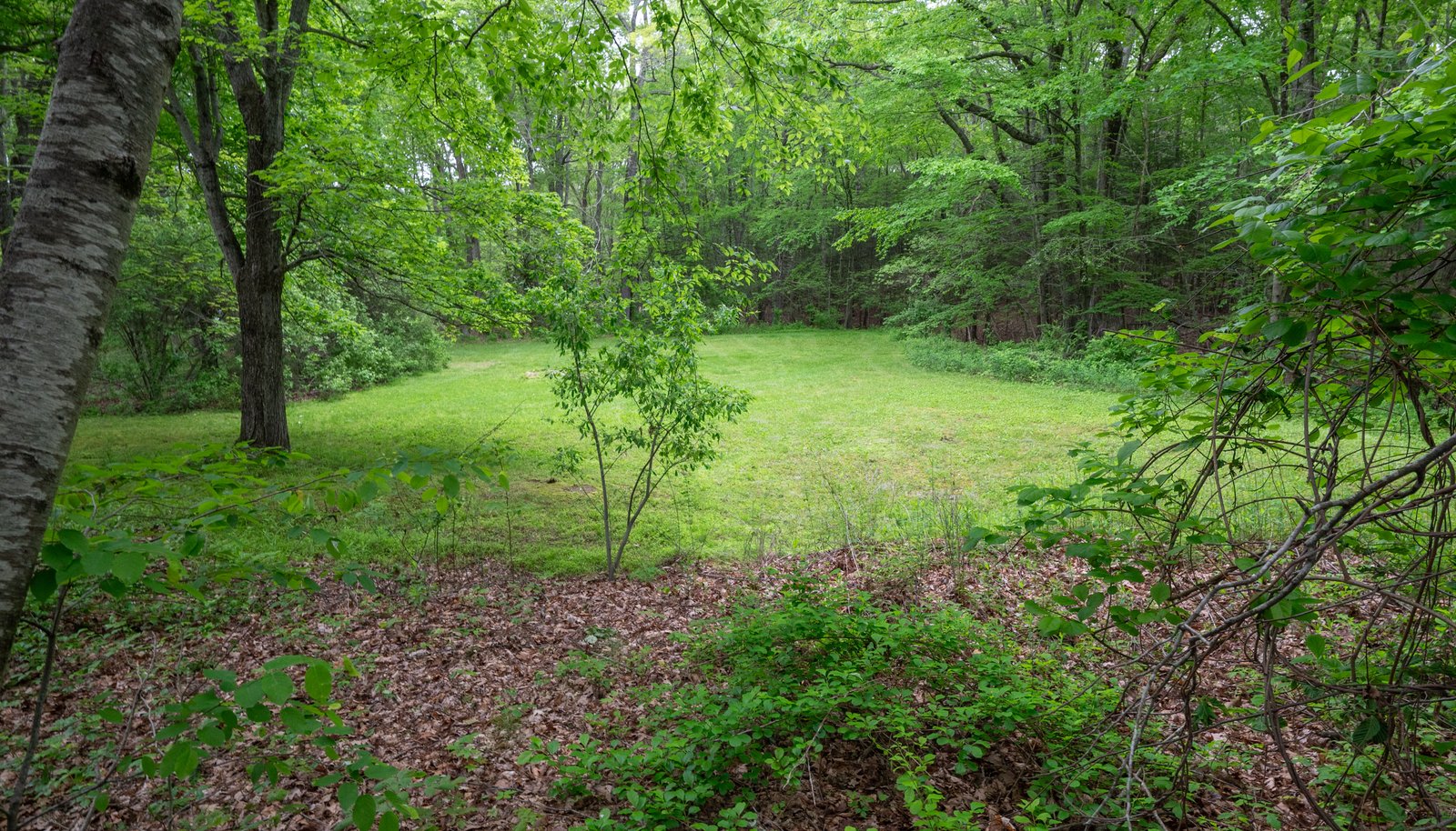 Image 33