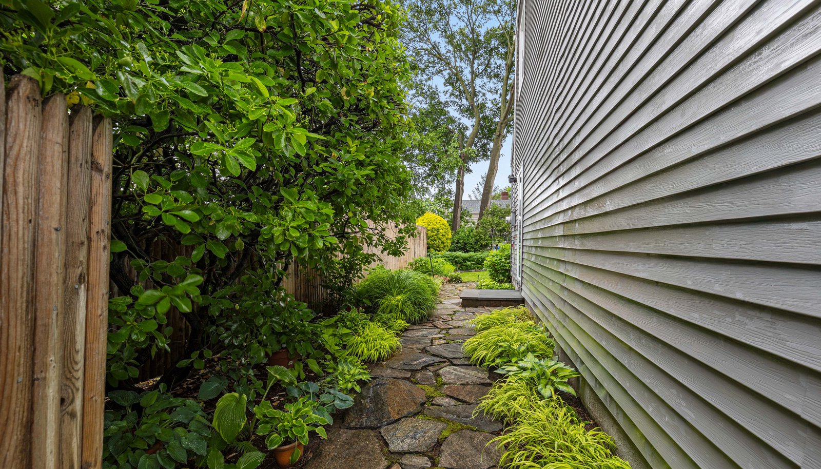 Image 22